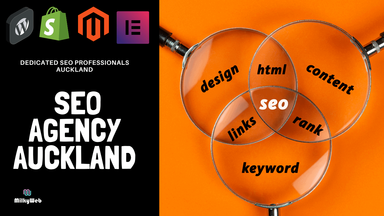 About Auckland Seo